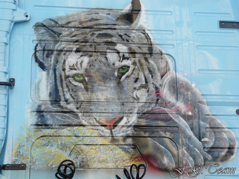 White Tiger (4).JPG